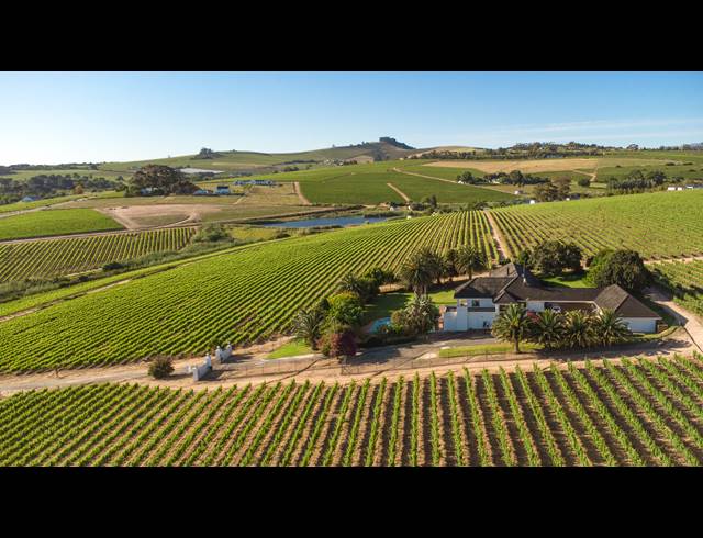 94HA FARM FOR SALE IN STELLENBOSCH FARMS